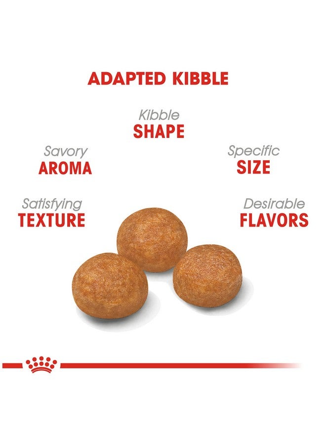 رويال كانين طعام جاف للكلاب البالغة الصغيرة جدًا، كيس 2.5 رطل - Image 2