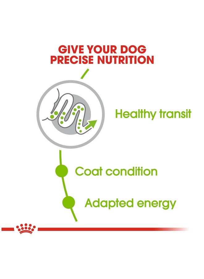 رويال كانين طعام جاف للكلاب البالغة الصغيرة جدًا، كيس 2.5 رطل - Image 3