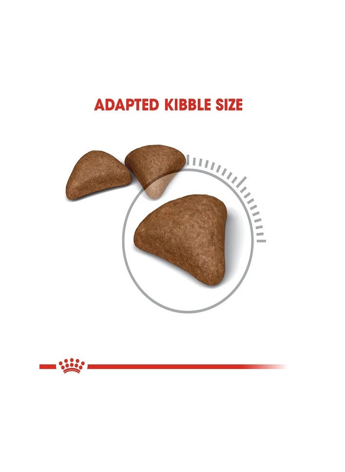 Royal Canin Hairball Care Dry Cat Food,4kg - Image 3