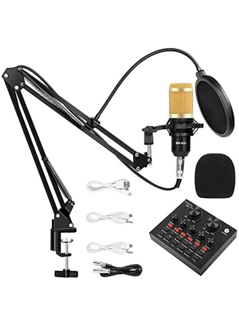 ACLIX Multifunctional Live Sound Card Microphone Set Condenser Mic With Phantom power - Image 1