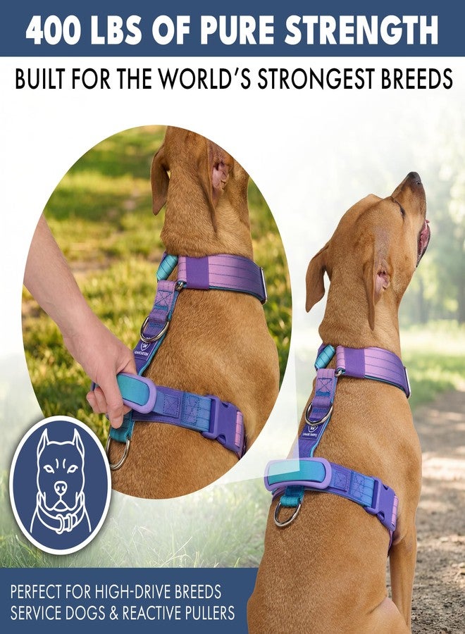 Spark Paws No Pull Dog Harness with Handle for Large Dogs, Heavy Duty Dog Harness for Big Strong Breeds, Adjustable, Y Shaped Padded Halter Design with Front Clip - 90s Retro - M - Image 4