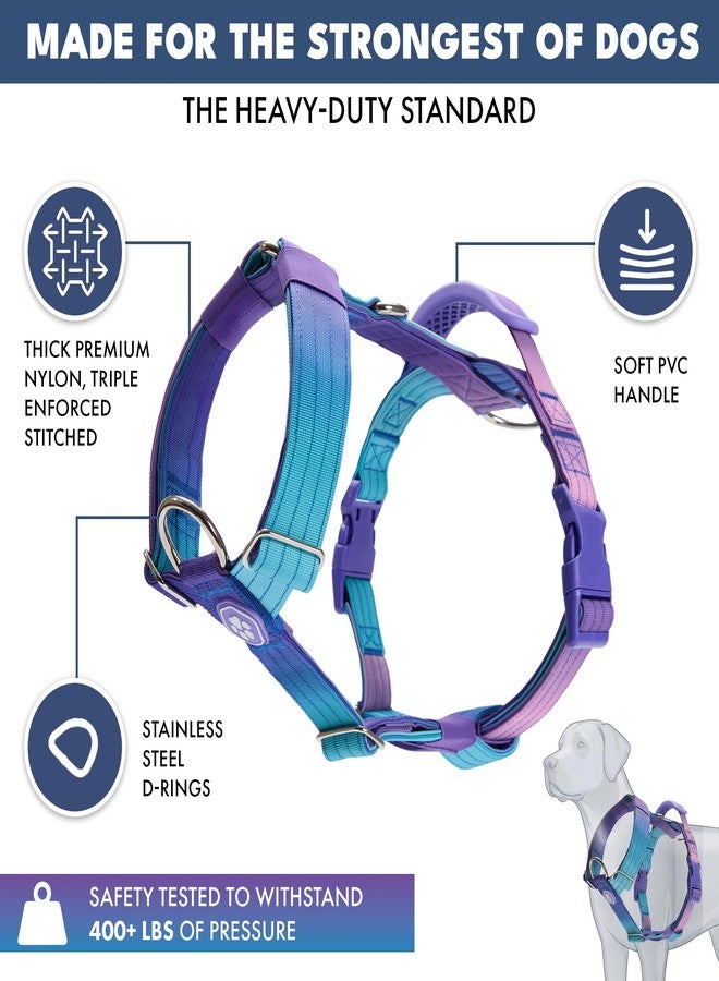 Spark Paws No Pull Dog Harness with Handle for Large Dogs, Heavy Duty Dog Harness for Big Strong Breeds, Adjustable, Y Shaped Padded Halter Design with Front Clip - 90s Retro - M - Image 2
