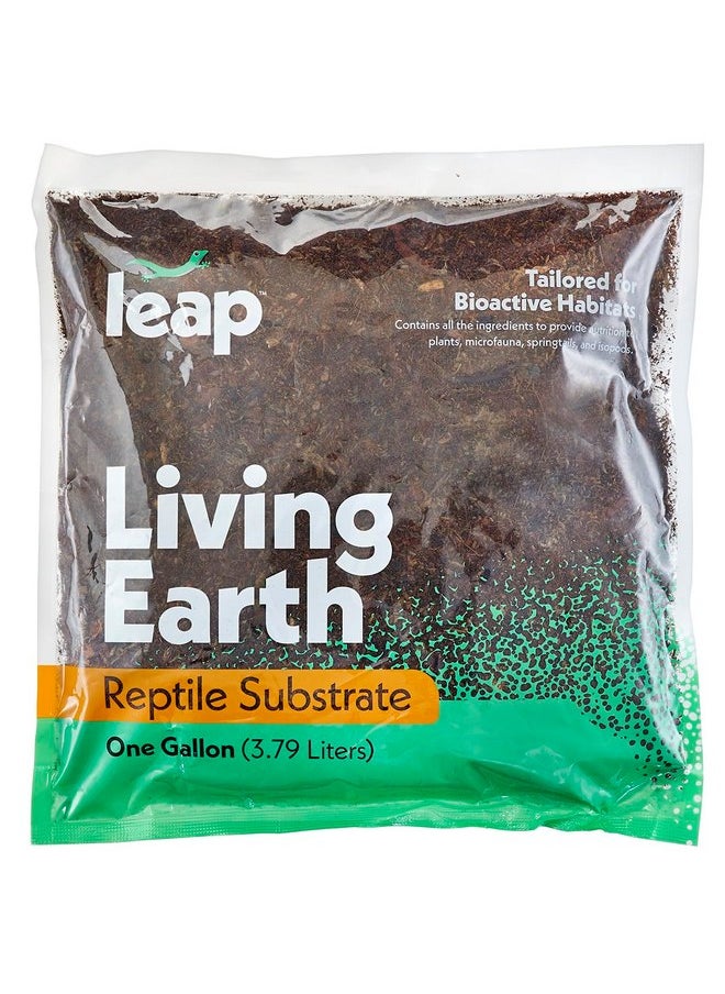 ركيزة Leap Habitats Living Earth - مزيج فراش جاهز للاستخدام في حوض السمك للزواحف والضفادع والثعابين والوزغات وموائل السحالي، يدعم الحيوانات الدقيقة بألياف جوز الهند والطحالب ولحاء التنوب - pzsku/Z613C77D487469FDC035DZ/45/_/1737031725/e2f237cd-7b63-4680-a03f-79d2e686170a