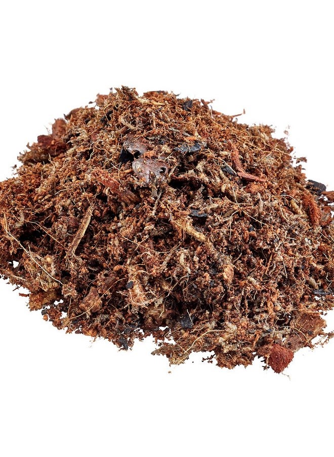 Leap Habitats Living Earth Substrate - Bioactive Ready Terrarium Bedding Mix for Reptiles, Frogs, Snakes, Geckos, and Lizard Habitats, Supports Microfauna with Coconut Coir, Sphagnum, Fir Bark - pzsku/Z613C77D487469FDC035DZ/45/_/1737031739/2370c279-09a6-4f3c-8fe4-206038cb2f4c