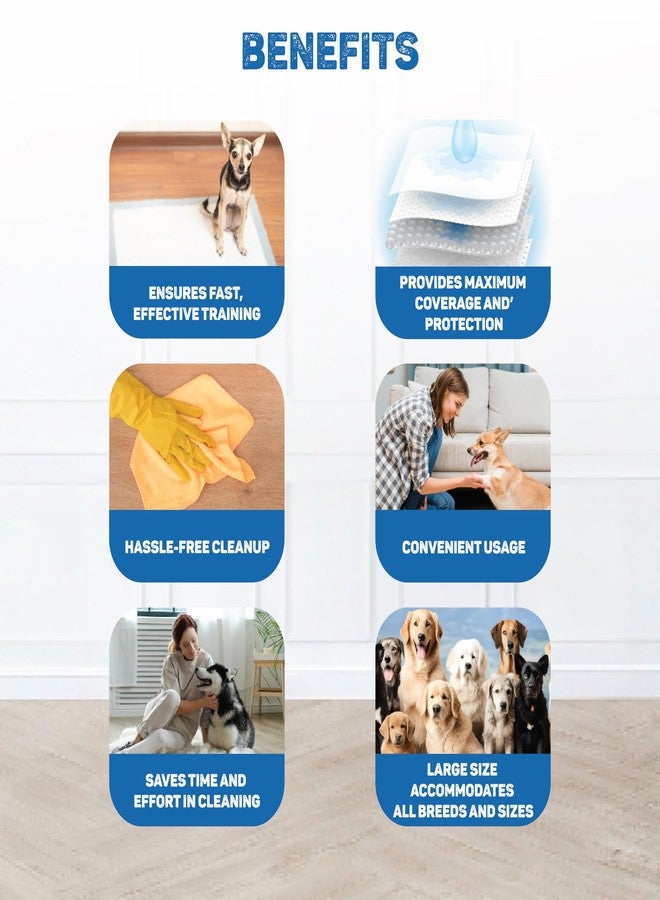 تريكسي فوط تدريب الحيوانات الأليفة برائحة اللافندر من تريكسي للكلاب والجراء - فوط امتصاص سريعة ومقاومة للتسرب للتبول والتبرز مع مزيل للروائح، فوط صحية، 40 × 60 سم (7 فوط) - Image 5