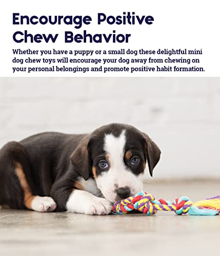 Petstages Orka Mini Dental Dog Chew Toys - 3 Pack - Image 3