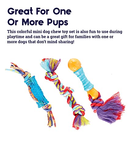 Petstages Orka Mini Dental Dog Chew Toys - 3 Pack - Image 4