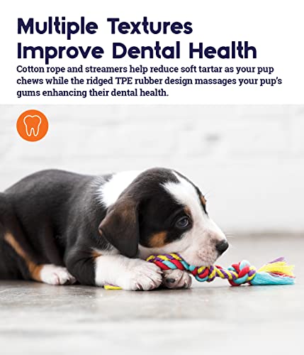 Petstages Orka Mini Dental Dog Chew Toys - 3 Pack - Image 5