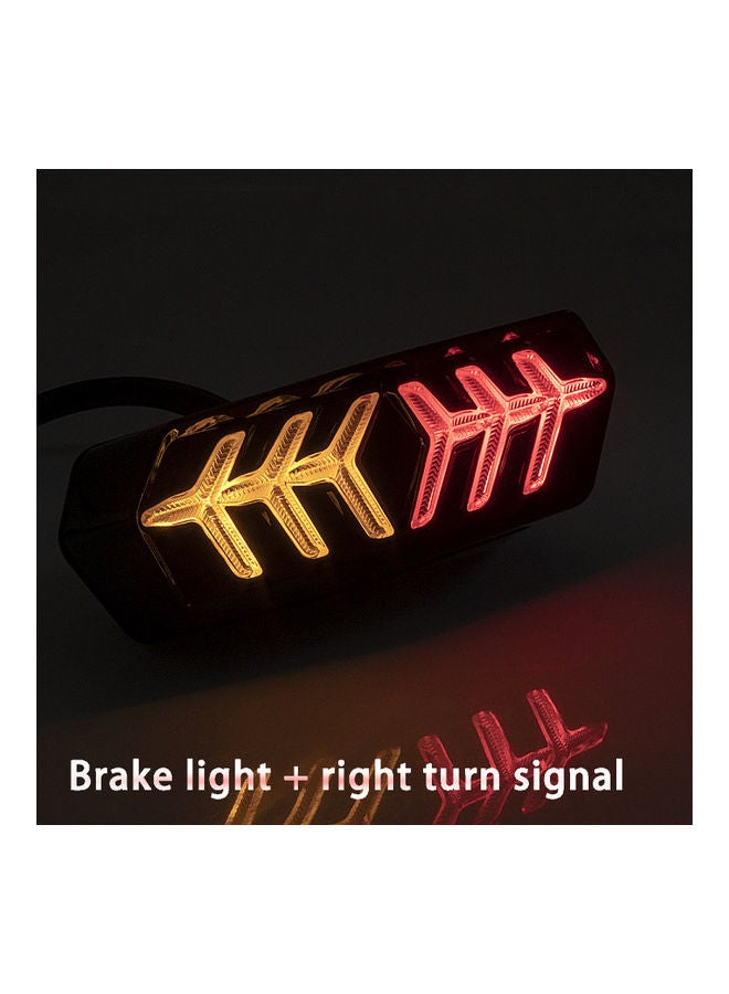 Loquat Motorcycle LED Tail Light - Image 5