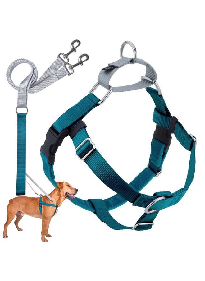 2 HOUNDS DESIGN Freedom No Pull Dog Harness, Adjustable Harness and Leash Set, Easy Walking & Comfortable Control, Fits Small, Medium & Large Dogs, Solid Colors, Made in USA, 1" MD, Teal  - Image 1