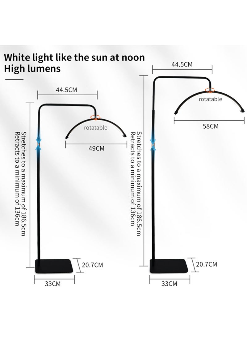 Beauty LED Floor Fill Light with Adjustable Height