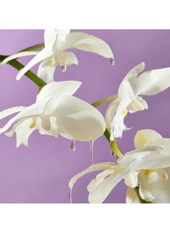 Saltair Saltair - Island Orchid Body Oil - Nourishing Body Moisturizer  - Image 5