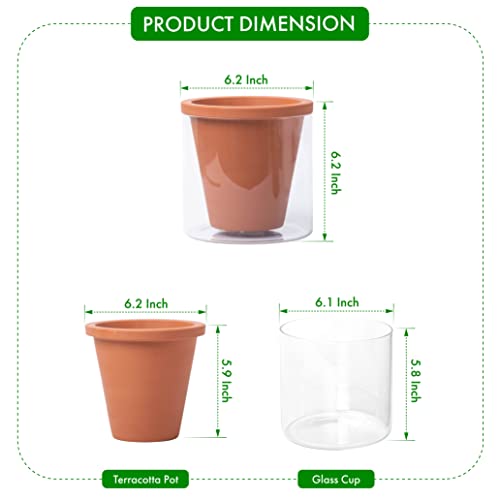 D'vine Dev 6 Inch Design Self Watering Pot for Indoor Plants, Terracotta Planter with Cylinder Glass Cup, Set of 2, 37-Y-B-1 - Image 3