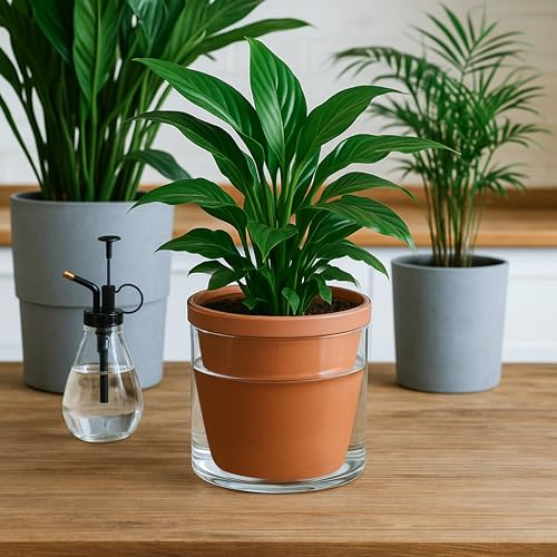 D'vine Dev 6 Inch Design Self Watering Pot for Indoor Plants, Terracotta Planter with Cylinder Glass Cup, Set of 2, 37-Y-B-1 - Image 2
