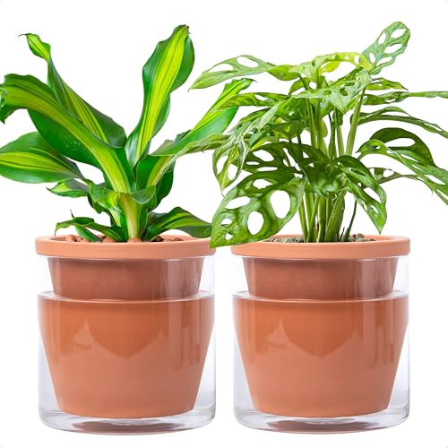 D'vine Dev 6 Inch Design Self Watering Pot for Indoor Plants, Terracotta Planter with Cylinder Glass Cup, Set of 2, 37-Y-B-1 - Image 1