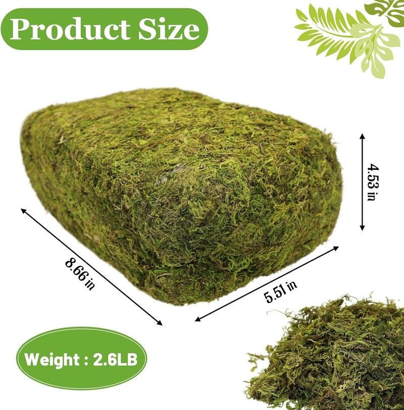 Riare 2.6LBS Artificial Fake Moss for Fake Plants Indoor- Premium Faux Craft Moss for Potted Plant, Fresh Forest Green for Hamsters Micro-Landscape Terrariums Centerpieces Decor - Image 1