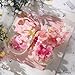 Bibilock Ideas Flowers Butterfly Collection Mini Building BlocksNot Compatible with Lego Flowers Butterfly Insects Size0142inCreative Insect Specimen Building Set with Exquisite Frame for Nature Lovers - Image 4