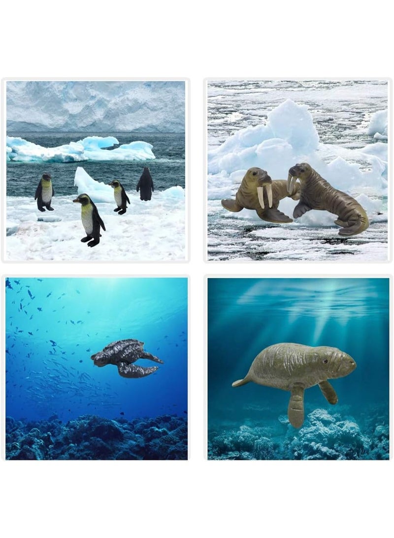 Halamodo 12 Pcs Mini Marine Animal Model Toy Set - Realistic Sea Creatures Collection Including Manatee, Shark, Turtle, Dolphin, Penguin, Seal, Walrus etc, Kids Imagination Development，Durable Plastic Ocean Education Toys, Ocean Theme Party Gift， Birthday Gift For Boys And Girls - Image 4