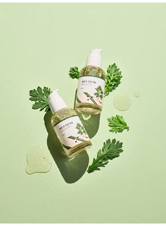 ROUND LAB Mugwort Calming Serum 50Ml / Soothing Refreshing Mugwort Extract Serum - Image 4