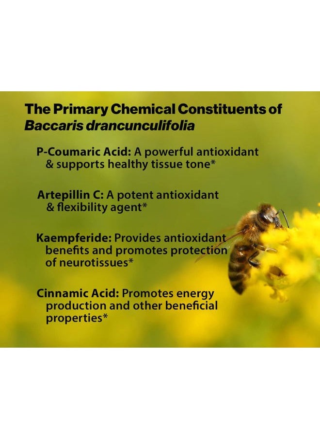 essential formulas - Dr. Ohhira's Propolis Plus 60 Capsules with Brazilian Green Propolis, Probiotic Extract and Astaxanthin - Image 1