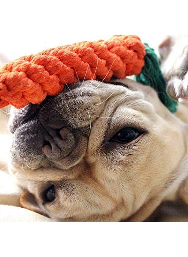 Generic - Ultra Durable Carrot Rope Dog Toy + Dog Hard Spike Red Ball For Dogs (Combo Of 2 Toys) - Image 1