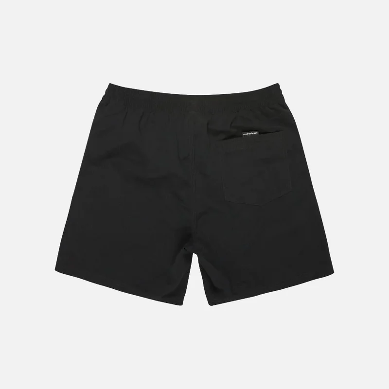 QUIKSILVER Everyday Vert 17" Swim Shorts - Men