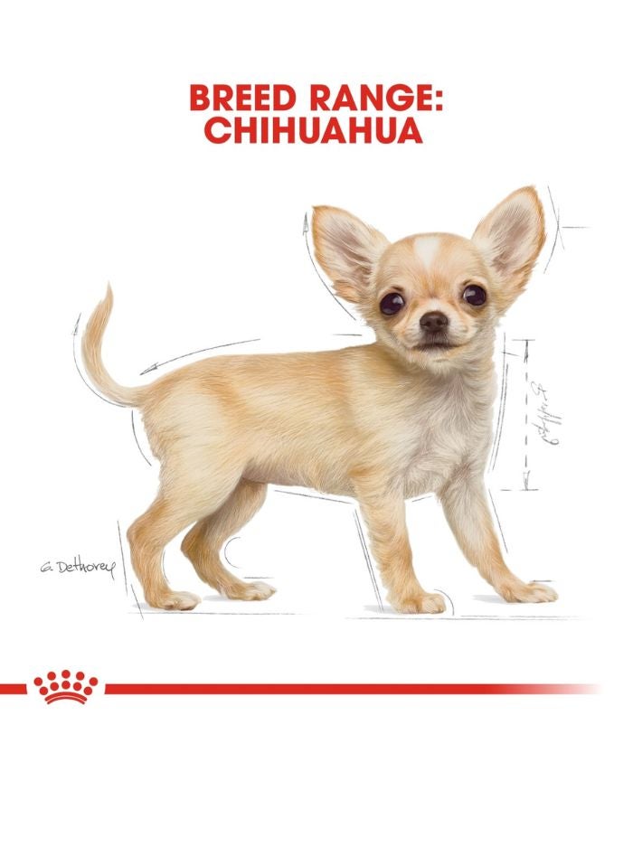 ROYAL CANIN Breed Health Nutrition Chihuahua Puppy 1.5 KG - Image 5