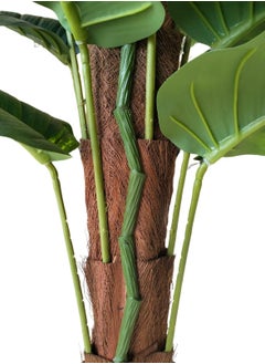 Garden Oasis Landscaping Artificial Money Plant 1.6 Meters High Artificial Pachira Aquatic Tree in Plastic Pot for Home Garden Office Decoration – Artificial Plants – Fake Tree – Fake Plants  - Image 2
