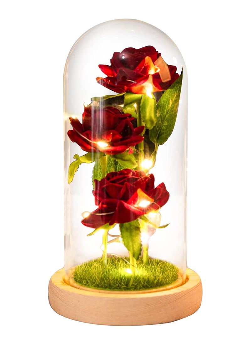 Valentines Day Flowers Roses Gifts for Her,Anniversary Thanksging Birthday Valentines Day Roses Gifts for Her Wife Mom Girlfriend, Beauty and The Beast Rose Red Silk Rose Flower in Glass Dome  - Image 1