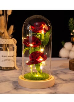 Generic Valentines Day Flowers Roses Gifts for Her,Anniversary Thanksging Birthday Valentines Day Roses Gifts for Her Wife Mom Girlfriend, Beauty and The Beast Rose Red Silk Rose Flower in Glass Dome  - Image 2