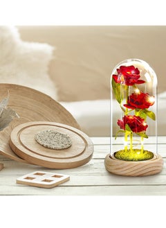 Generic Valentines Day Flowers Roses Gifts for Her,Anniversary Thanksging Birthday Valentines Day Roses Gifts for Her Wife Mom Girlfriend, Beauty and The Beast Rose Red Silk Rose Flower in Glass Dome  - Image 3