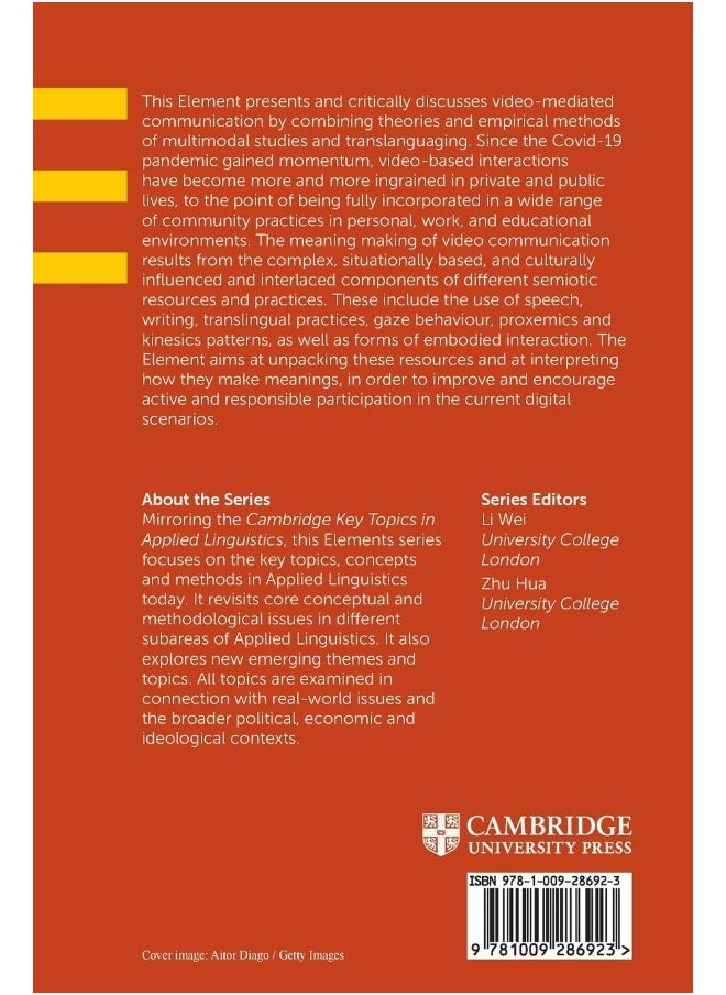 Multimodality and Translanguaging in Video Interactions  - Image 2