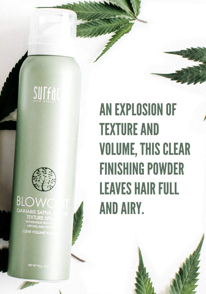 SURFACE Hair Blowout Hair Texture Spray for Women and Men, 4 oz - Heat Protecting, Volumizing Spray Lychee and Maracuja Oil - Premium Blowout Hair Products for Styling - Image 2