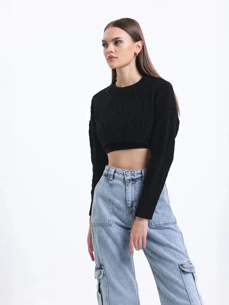 HICCUP Cable Knitted Solid Crew Neck Cropped Sweater