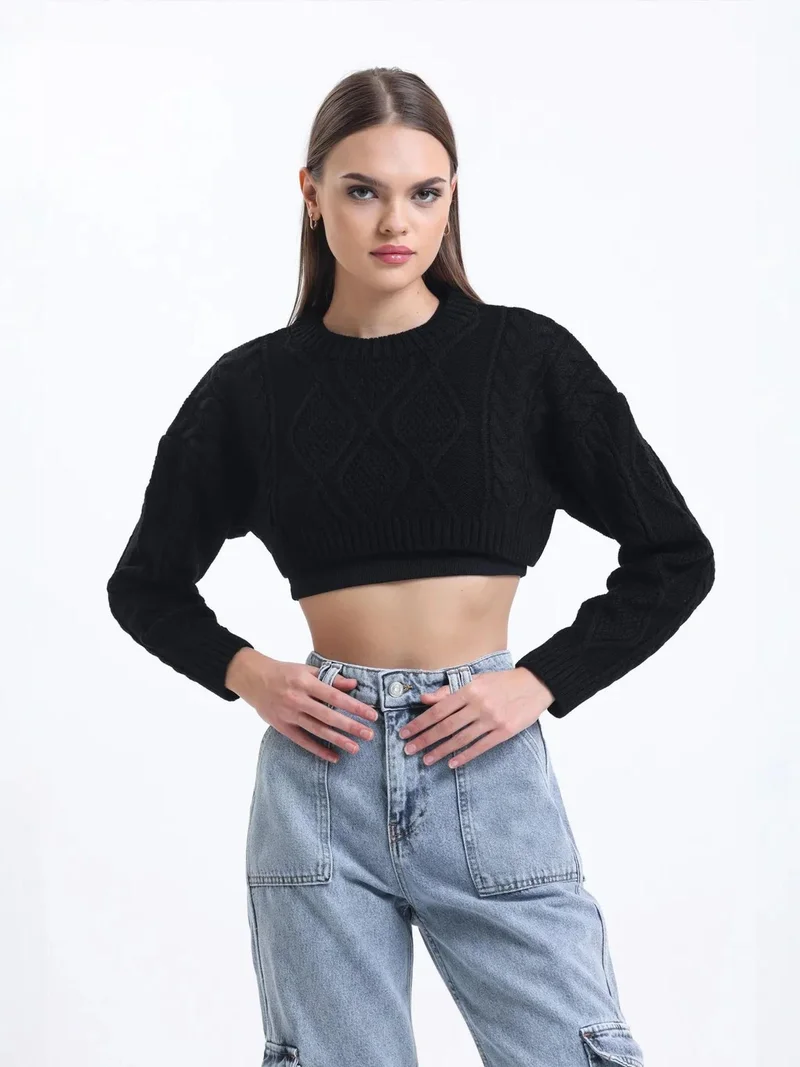 HICCUP Cable Knitted Solid Crew Neck Cropped Sweater