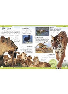 First Animal Encyclopedia: A First Reference Book for Children  - Image 4
