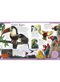 First Animal Encyclopedia: A First Reference Book for Children  - Image 5