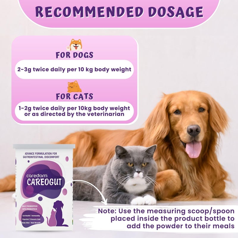 Caredom كاردوم كاردوجوت بروبيوتيك وبريبايوتيك لصحة الأمعاء | مزيج مع إنزيمات هضمية | مكمل بروبيوتيك وبريبايوتيك للكلاب والقطط | معزز للمناعة | مكملات صحة الأمعاء | 100 جرام - Image 4