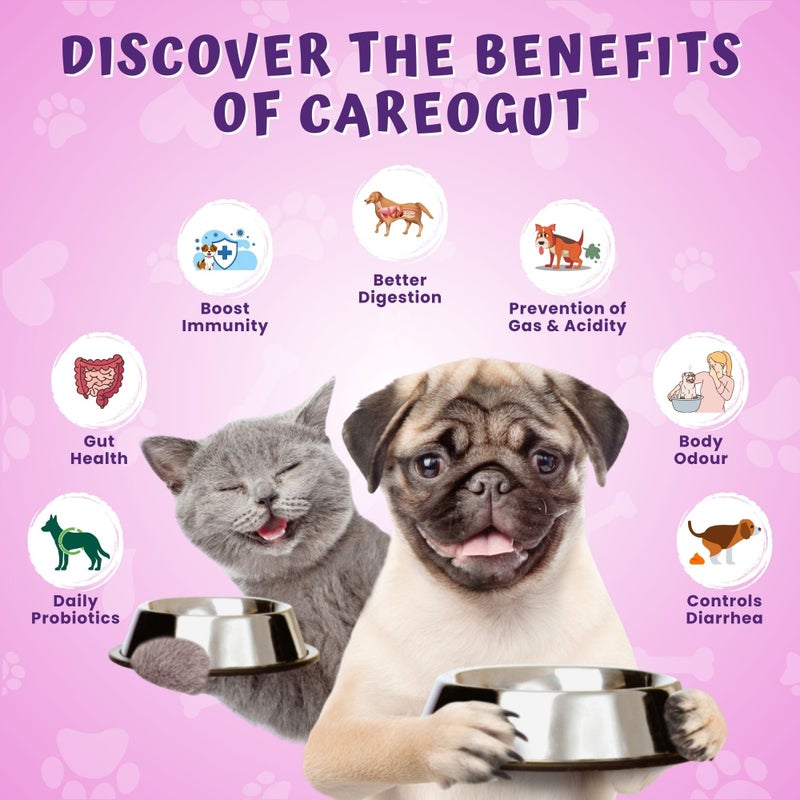 Caredom كاردوم كاردوجوت بروبيوتيك وبريبايوتيك لصحة الأمعاء | مزيج مع إنزيمات هضمية | مكمل بروبيوتيك وبريبايوتيك للكلاب والقطط | معزز للمناعة | مكملات صحة الأمعاء | 100 جرام - Image 3