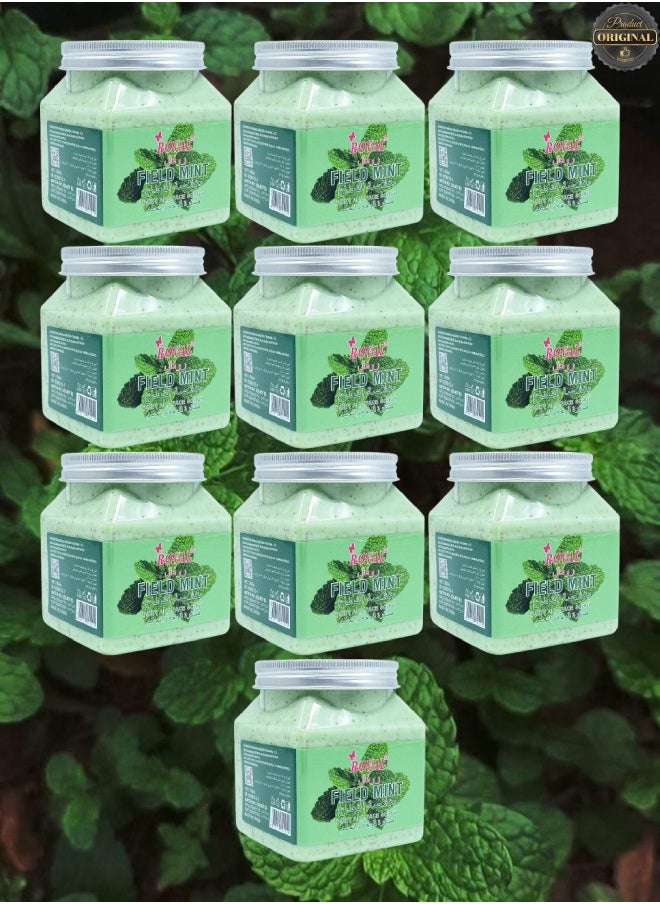 ROVAL 10 Pieces Field Mint Body And Face Scrub  - Image 1