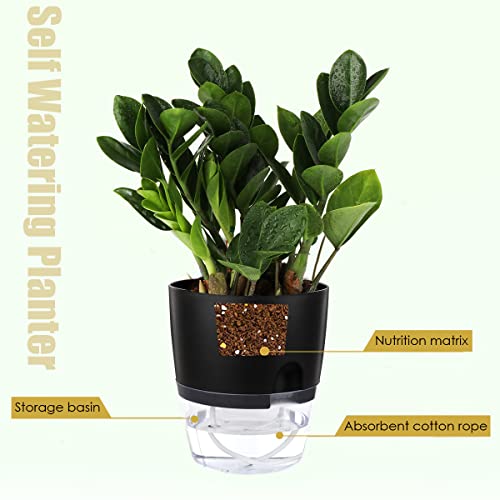 Vanavazon 6 Inch Self Watering Planter Pots for Indoor Plants, 3 Pack African Violet Pots with Wick Rope-Black - Image 2