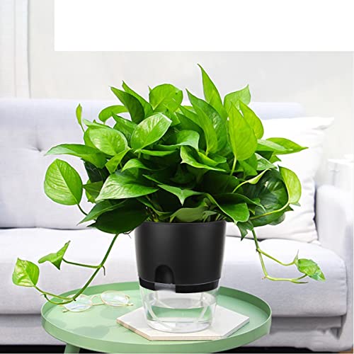 Vanavazon 6 Inch Self Watering Planter Pots for Indoor Plants, 3 Pack African Violet Pots with Wick Rope-Black - Image 3