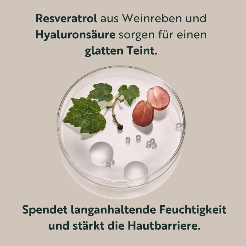 M.Asam كريم العين المثالي M. Asam Resveratrol Premium NT50 - كريم مضاد للشيخوخة تحت العين مع ريسفيراترول وحمض الهيالورونيك لتنعيم التجاعيد والخطوط الدقيقة، تركيبة نباتية، 1.01 أونصة سائلة - Image 3