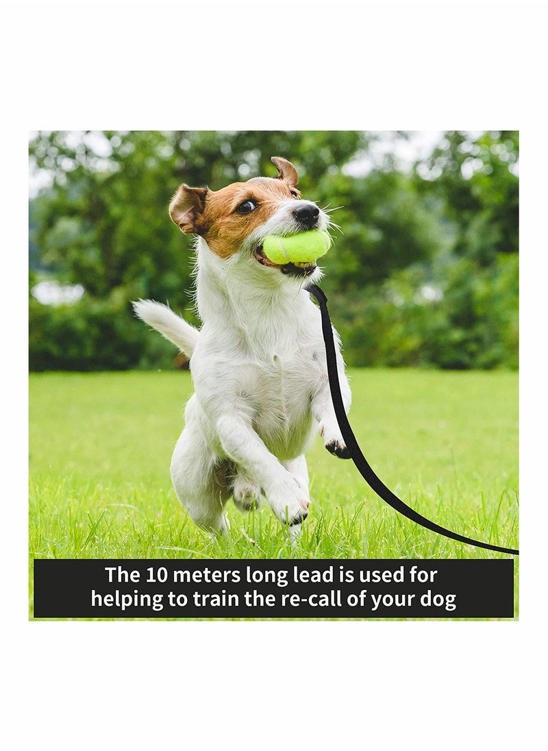 Extra Long Line Training Dog Leash, Long Lead For Large, Medium and Small Dogs Great for Training, Play, Camping, or Backyard, 10m - pzsku/Z61566CCB1C94D39F64F0Z/45/_/1717030617/b72b8264-1910-47d3-a39b-ccefd0dcbd1f