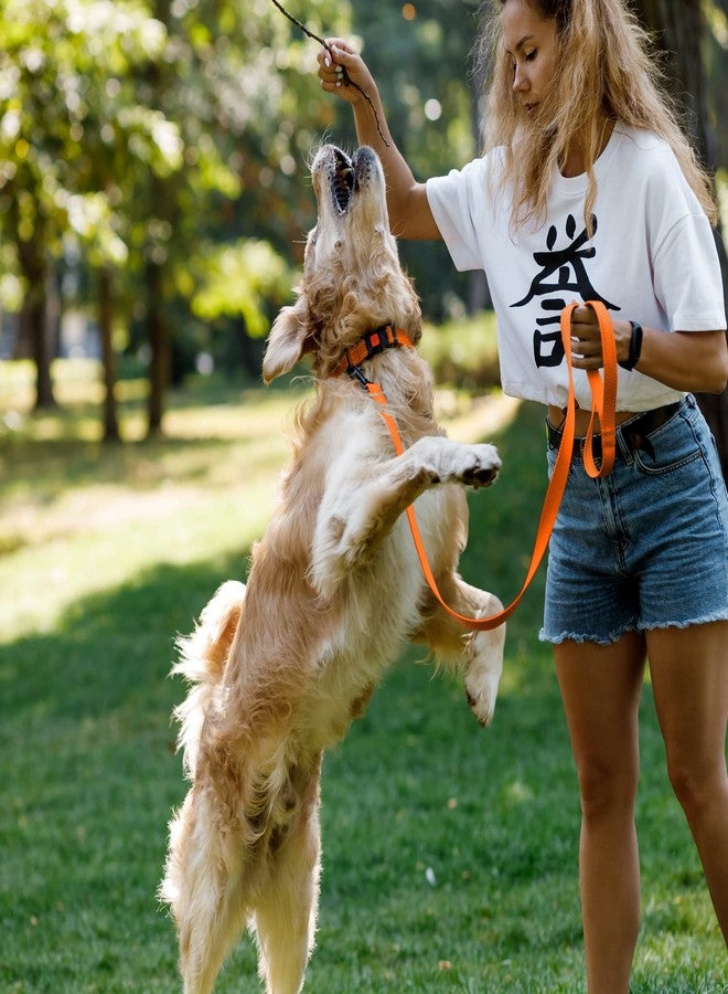 CollarDirect Reflective Dog Collar for a Small, Medium, Large Dog or Puppy with a Quick Release Buckle - Boy and Girl - Nylon Suitable for Swimming (Orange, 12-16 Inch) - Image 2