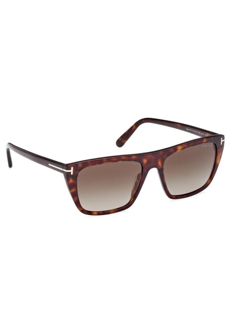 Tom Ford TF1175/S Men's Sunglasses