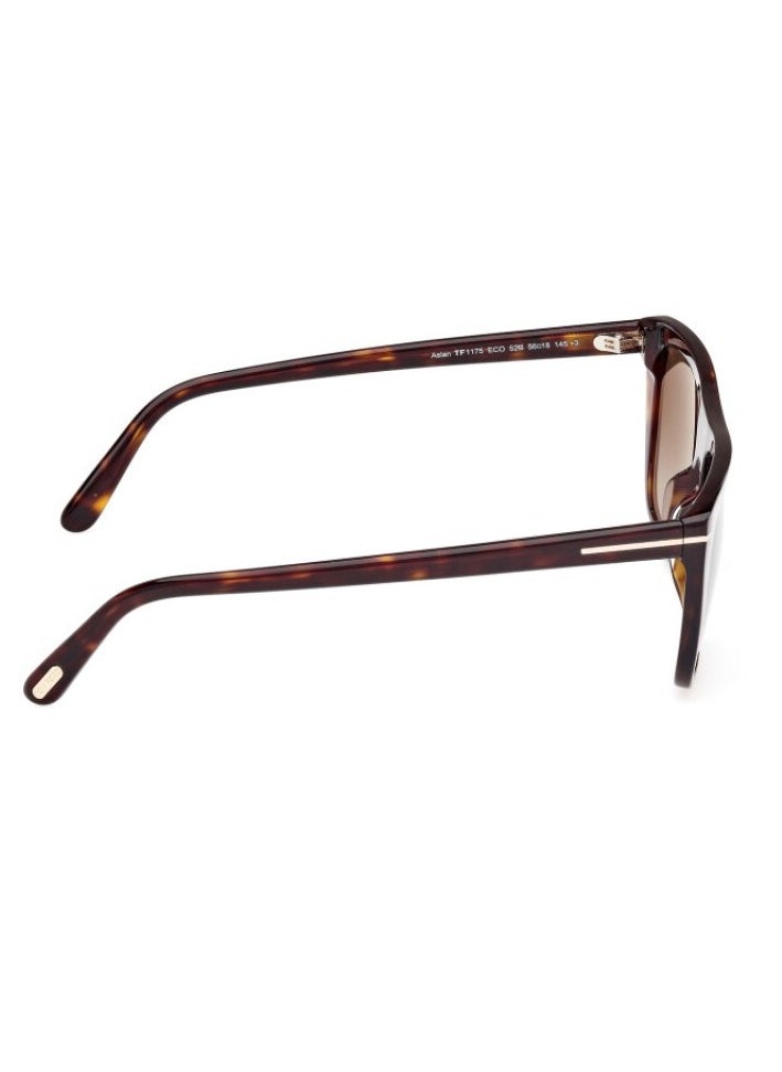 Tom Ford TF1175/S Men's Sunglasses