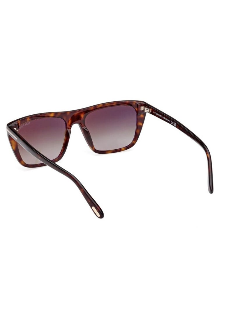 Tom Ford TF1175/S Men's Sunglasses