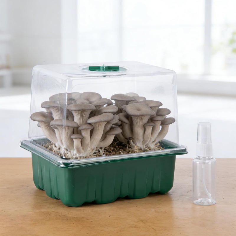 DECOHS 2 Pack Monotub Mushroom Grow Kit, Small Mushroom Fruiting Chamber Propagation Boxes, Monotub Mushroom Growing Box Mini Greenhouse with Adjustable Ventilation & Spray Bottle for Horticulture Supplies - Image 4