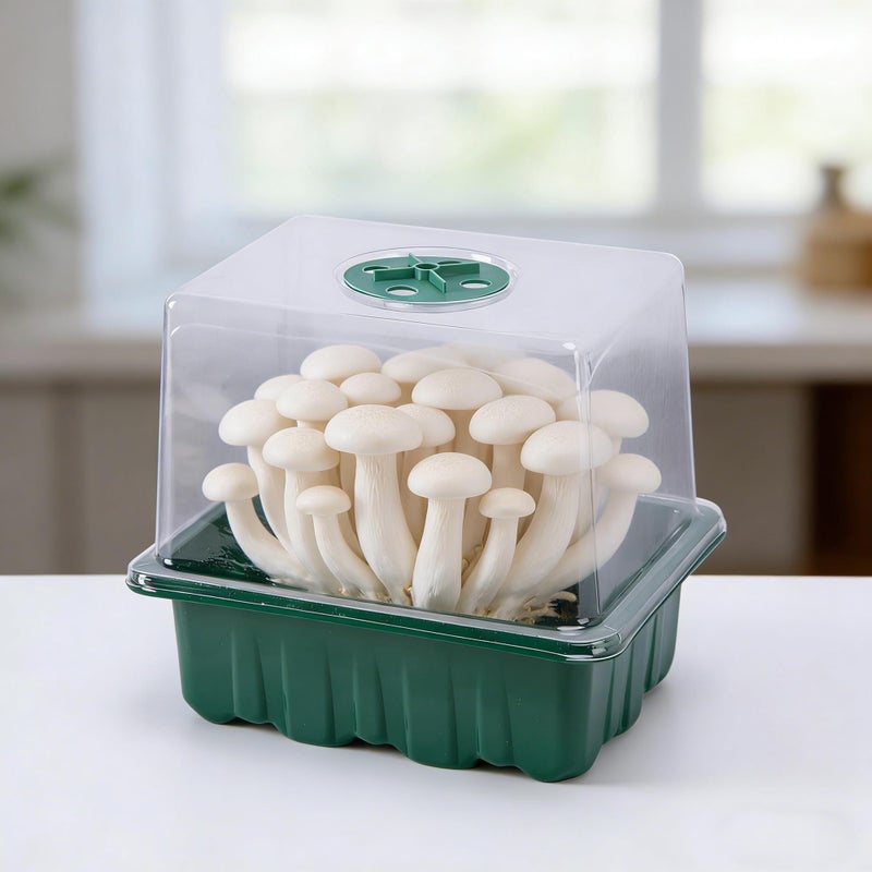 DECOHS 2 Pack Monotub Mushroom Grow Kit, Small Mushroom Fruiting Chamber Propagation Boxes, Monotub Mushroom Growing Box Mini Greenhouse with Adjustable Ventilation & Spray Bottle for Horticulture Supplies - Image 5